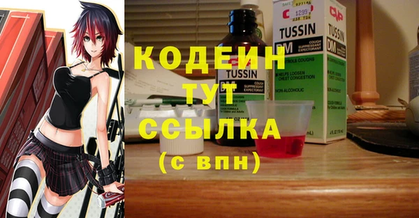 прущий лед Алзамай